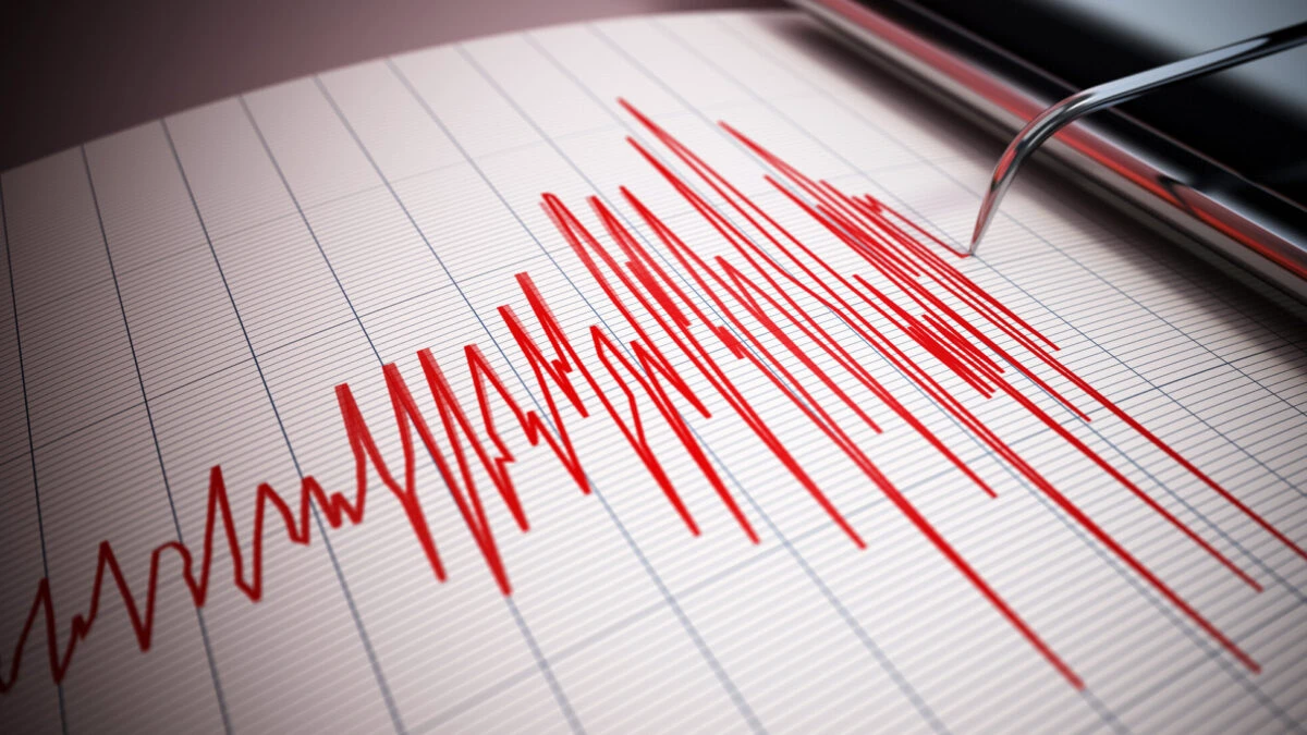 A fost cutremur în România chiar acum. Unde a fost raportat și ce magnitudine a avut