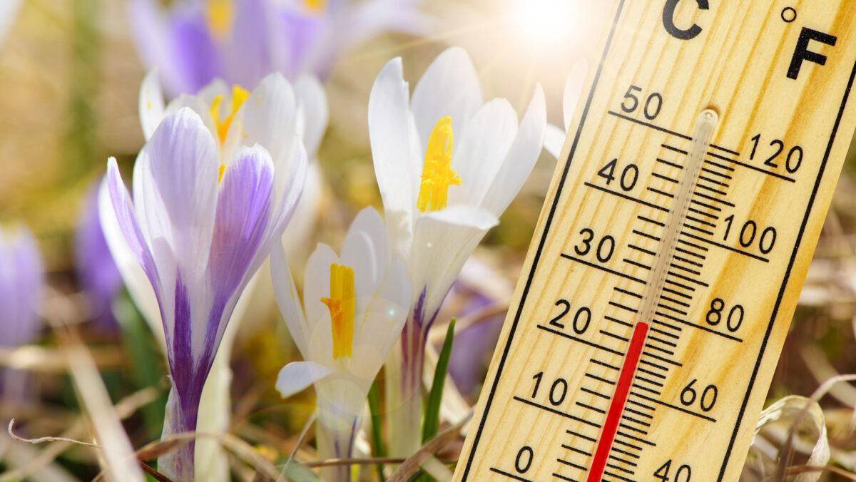 Vreme de primăvară în România. Unde va fi cel mai cald. Prognoza meteo ANM, 23 martie