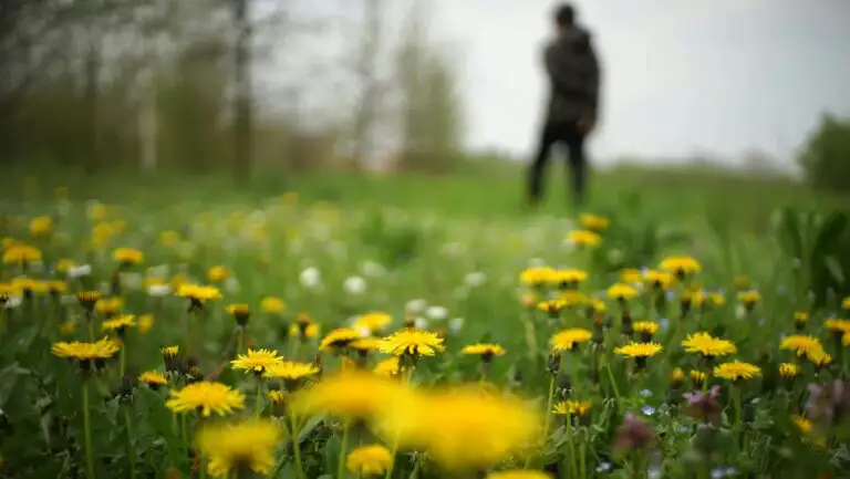 Vremea în România în weekendul 23–24 mai 2026: temperaturi de vară ...