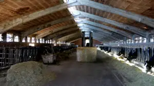  Noi ajutoare pentru crescătorii de animale. Legile au fost promulgate. Cine poate primi bani în 2026