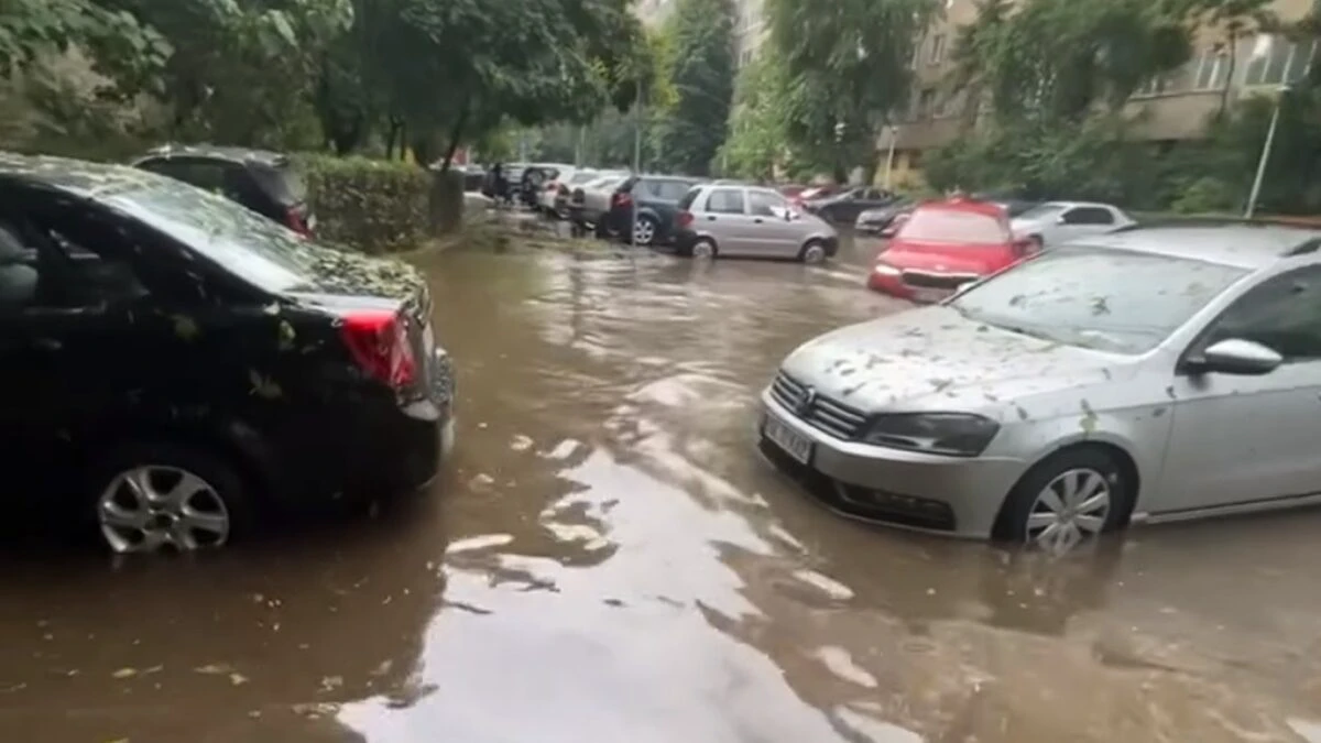 masina, sofer, inundatii