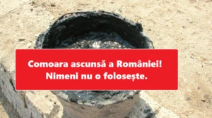 Comoara ascunsă a României. Nimeni nu o folosește.