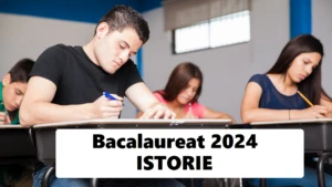 bac istorie 2024