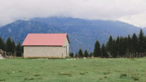 casa, teren, proprietar