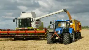 Fermierii români solicită respingerea acordului comercial UE–MERCOSUR. Com poate afecta agricultura românească şi securitatea alimentară naţională