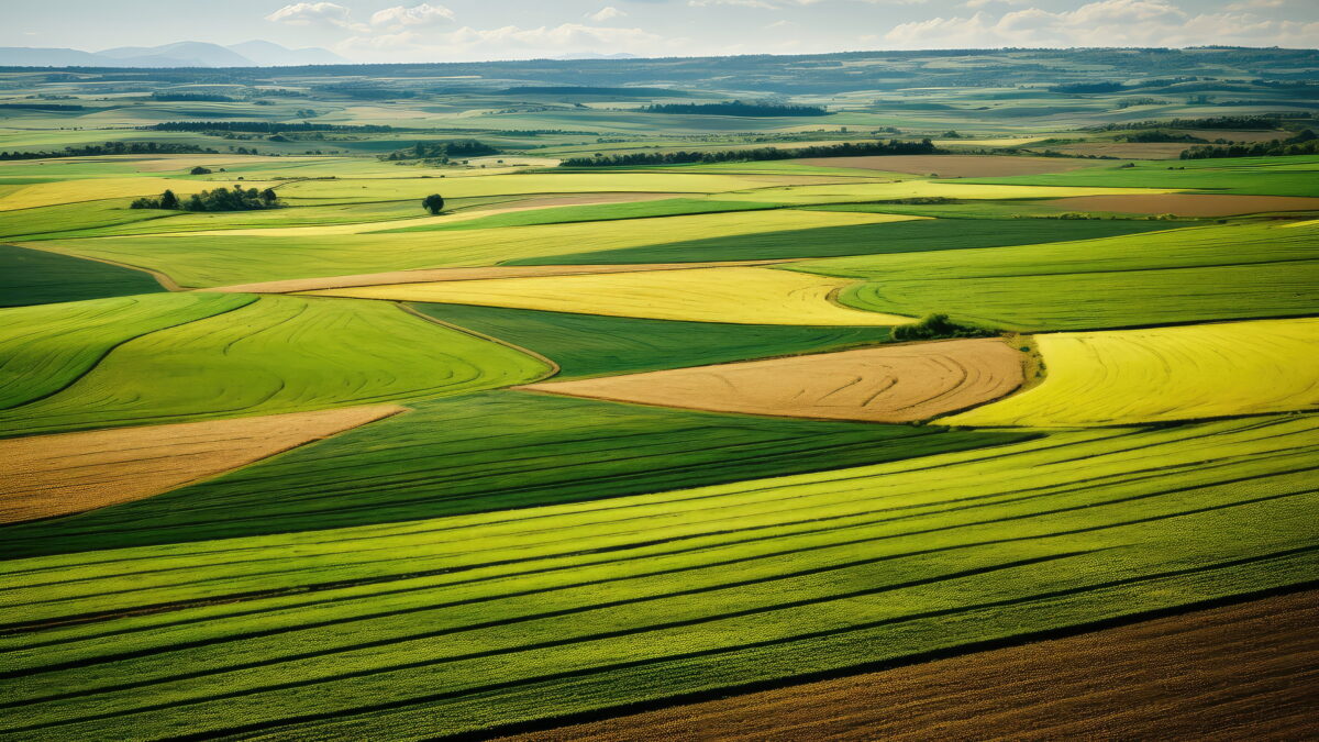 teren agricol terenuri agricole