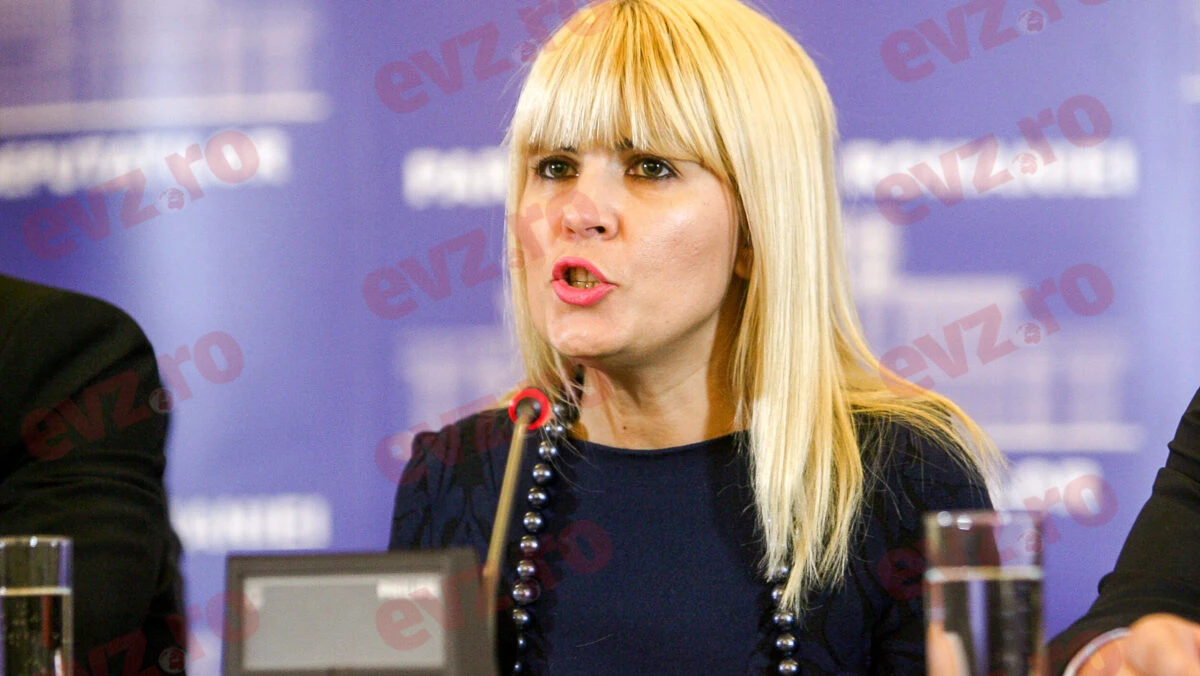 Răsturnare de situație pentru Elena Udrea. Motivul real al condamnării: Credeau atunci că e un moft