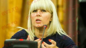 Elena-Udrea