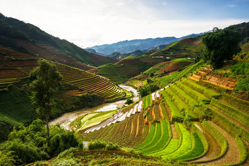 Mu Cang Chai