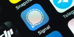 Signal