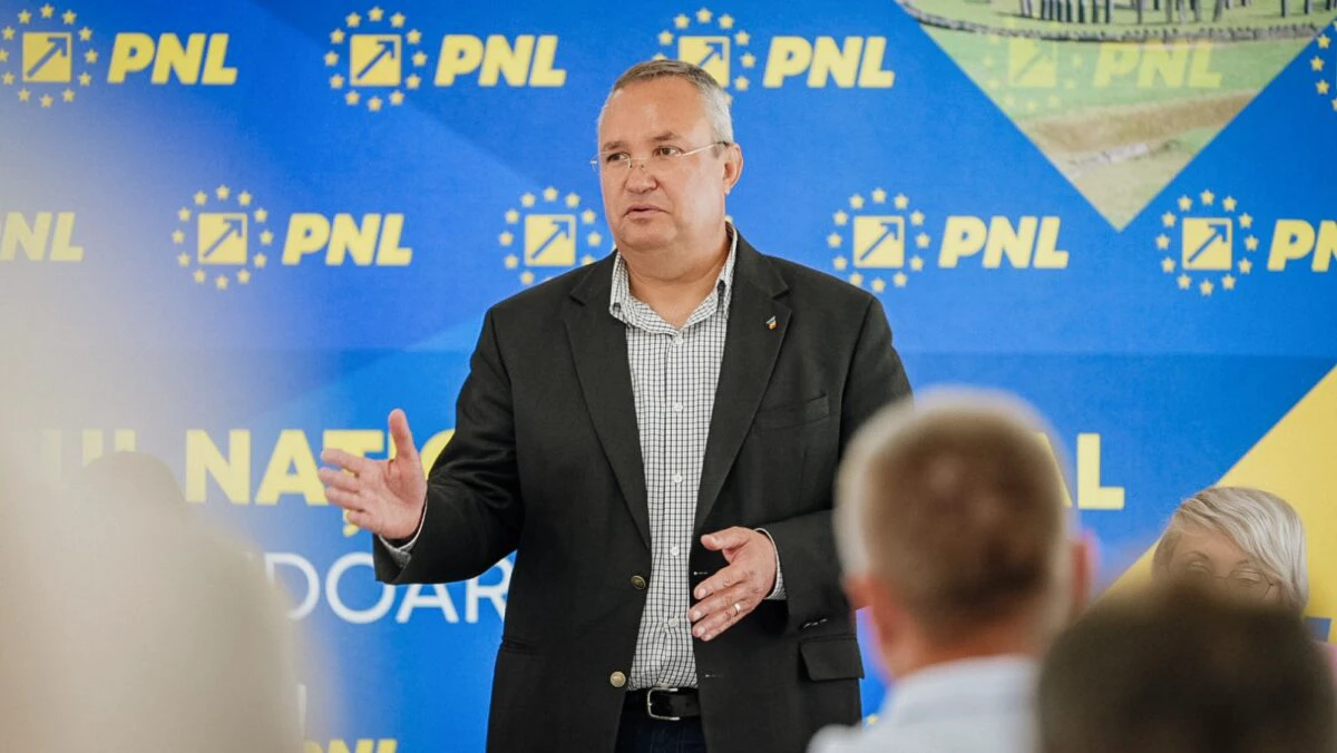 Nicoleta Pauliuc, liderul Femeilor Liberale: PNL are în Nicolae Ciucă cel mai bun candidat