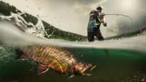 Producția globală din pescuit și acvacultură a atins, în 2024, un nivel record de peste 235 de milioane de tone. FAO avertizează asupra sustenabilității reduse