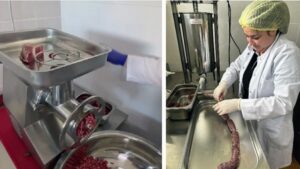 carne hibrida Facultatea de Inginerie Alimentară