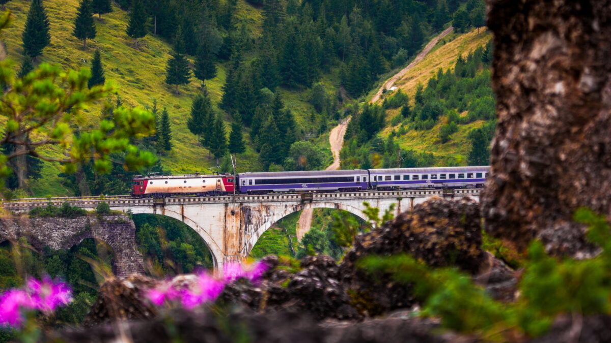 Transport gratuit cu trenurile CFR. Anunțul a fost făcut azi, 4 septembrie. Cine poate beneficia