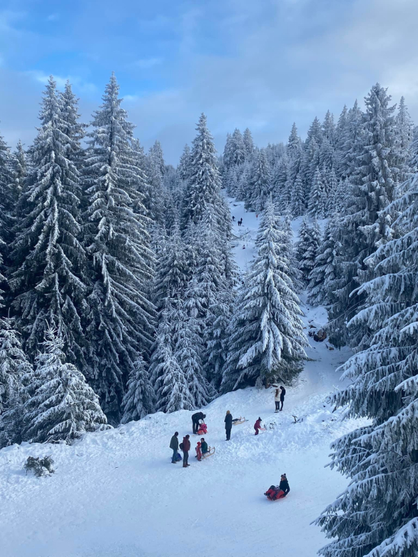 Stațiunea Păltiniș iarna 1