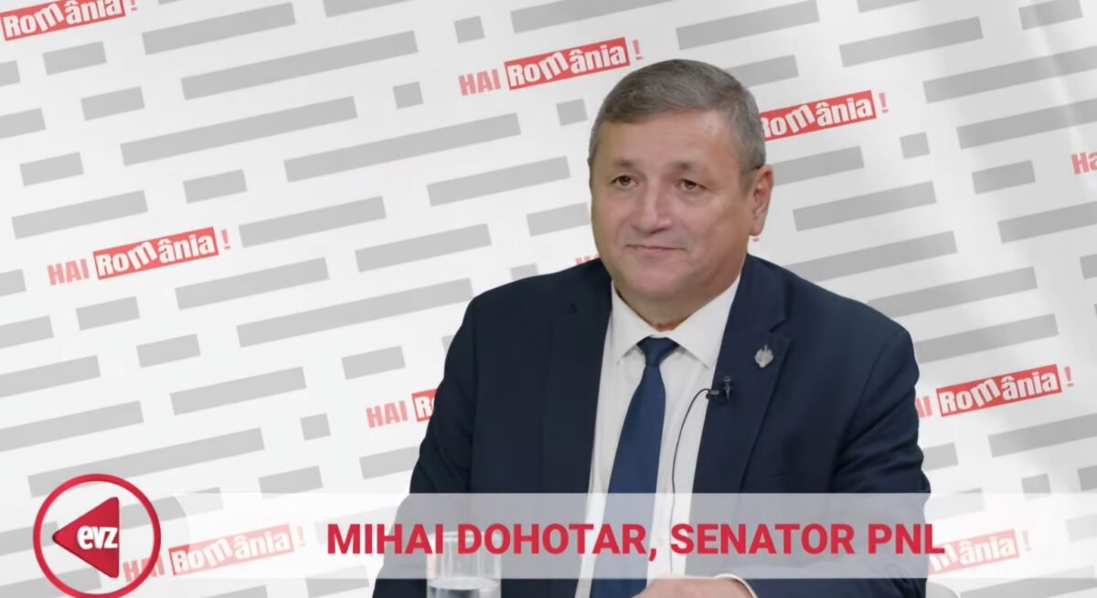 Dificultățile românilor din Diaspora. Mihai Dohotar, senator PNL: „ Am hotărât că trebuie să mă reconectez cu România”. Video