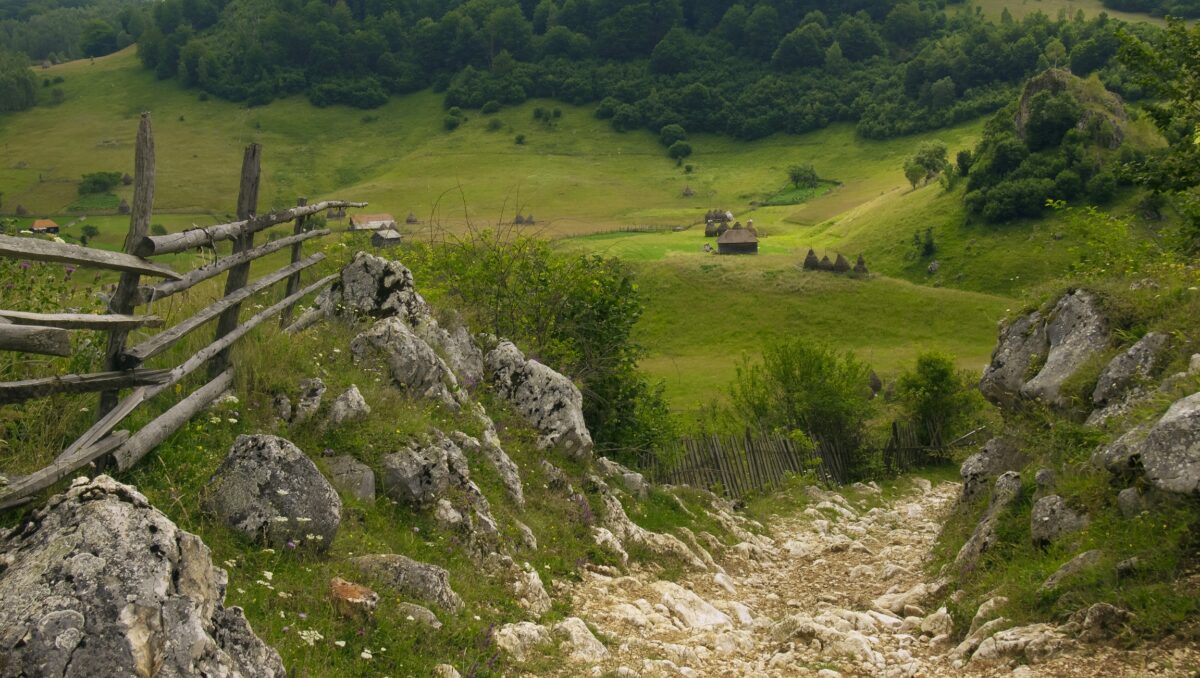 Zona Șureanu, Alba