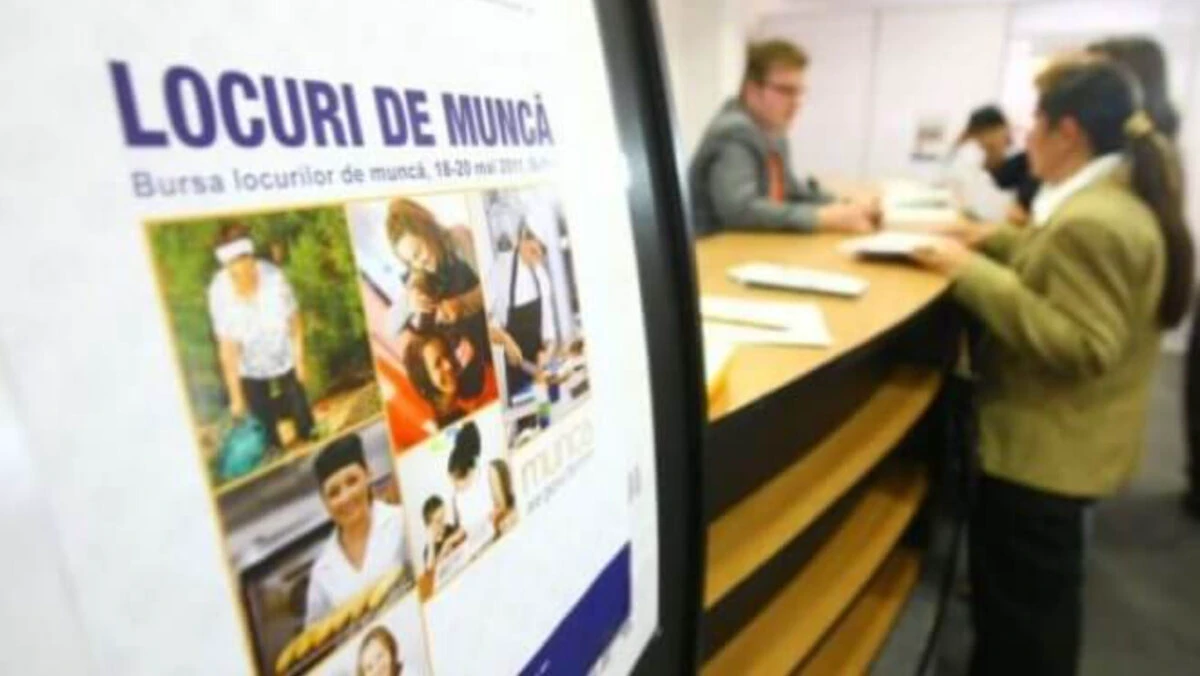 2024, anul cu cel mai mare număr de salariaţi din ultimul deceniu. Mai sunt disponibile peste 35.000 de locuri de muncă