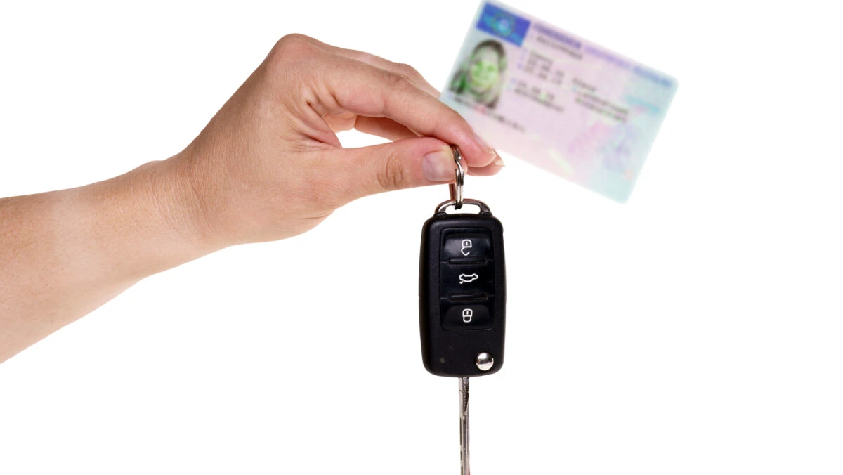 permis de conducere