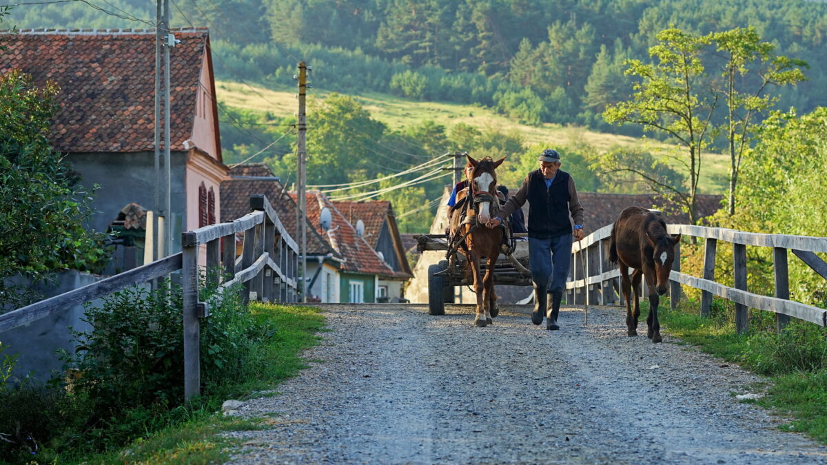 Obligatoriu în fiecare localitate din România. Toată lumea trebuie să predea. Gata cu excepțiile