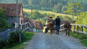 sat din Romania, Transilvania, mediul rural