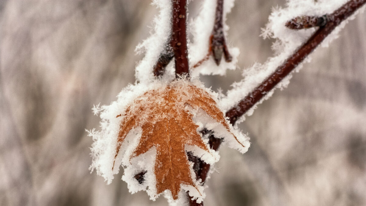 Se răcește vremea. Ger la -8°C şi ninsori în România. Urmează cele mai reci zile din această toamnă