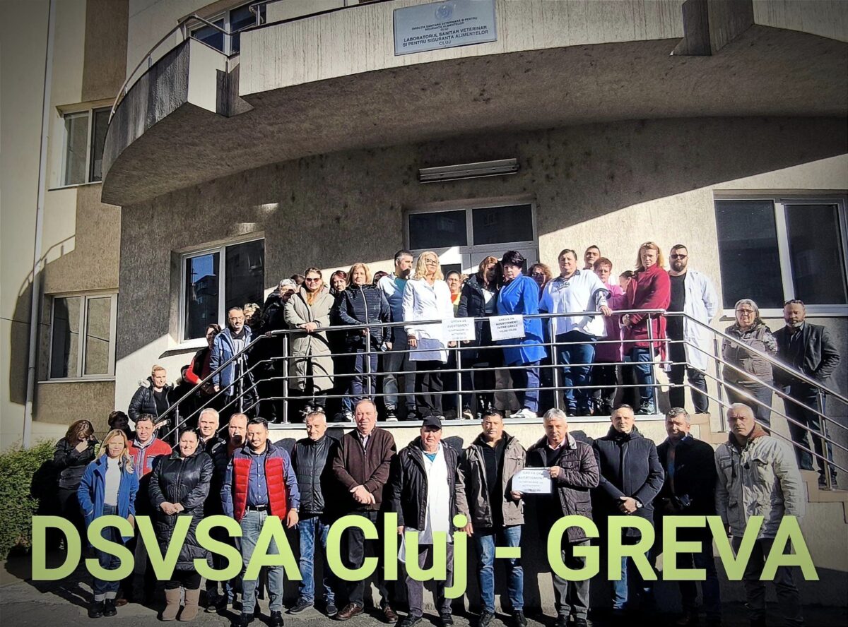 DSVSA Cluj, grevă