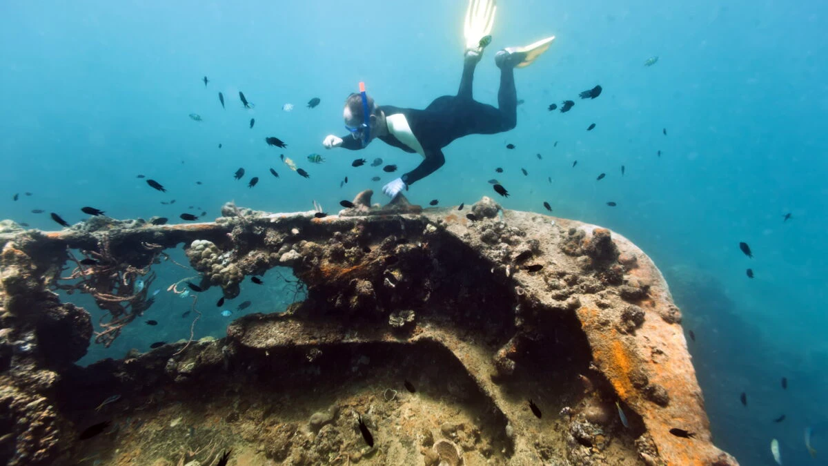 „Este o comoară”: Epava de pe coasta Kenyei ar putea fi din ultima călătorie a lui Vasco da Gama