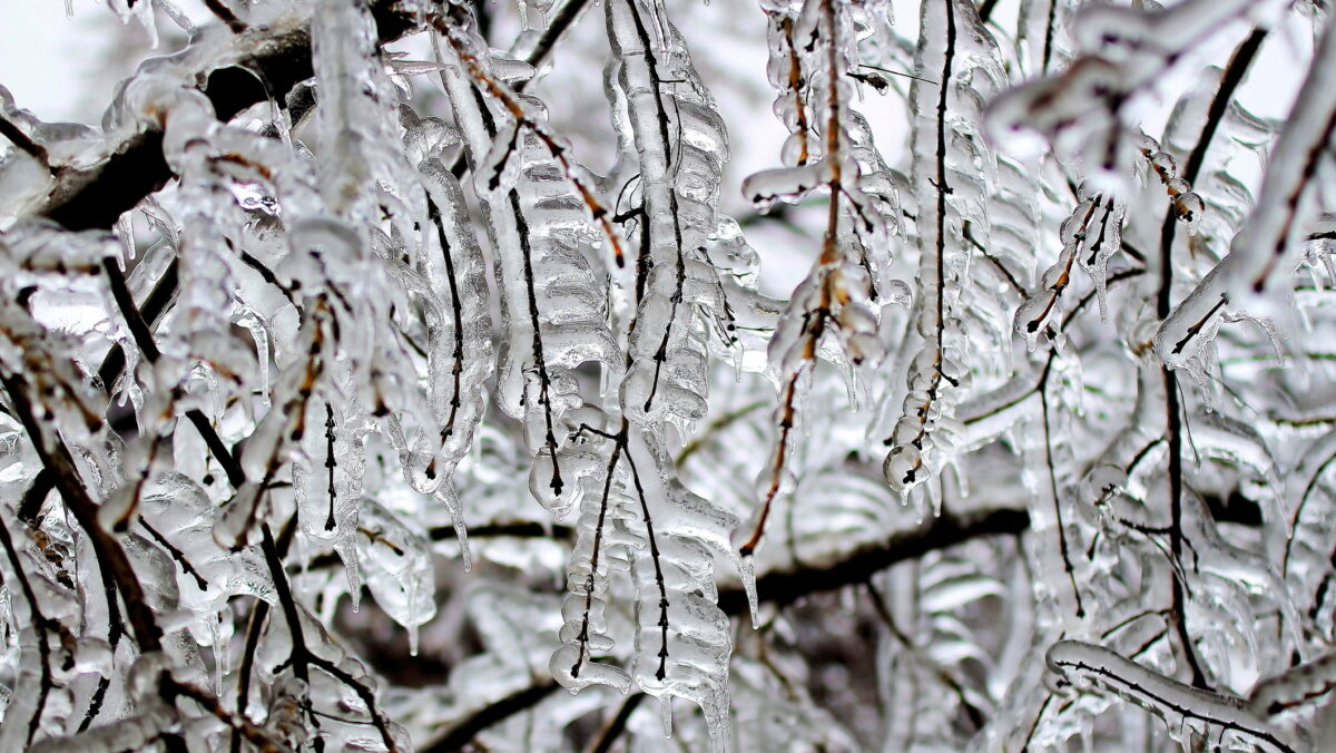 Vine frigul cumplit. Ger și îngheț din nou în România. Temperaturi mai mici cu 30 de grade