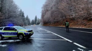 politia politisti soferi masini