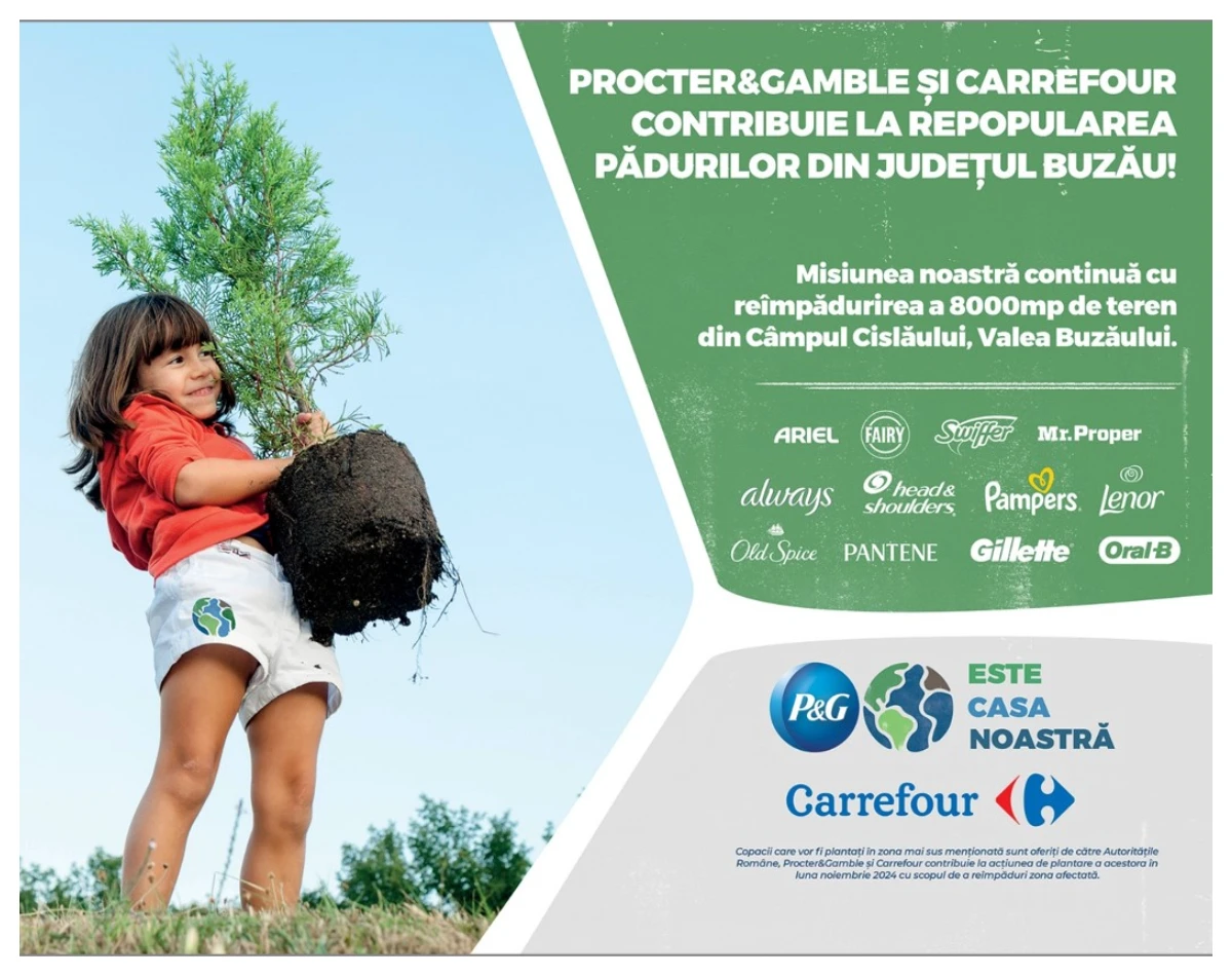 Peste 600 de copaci plantați de voluntarii P&G și Carrefour România pe Valea Buzăului (P)