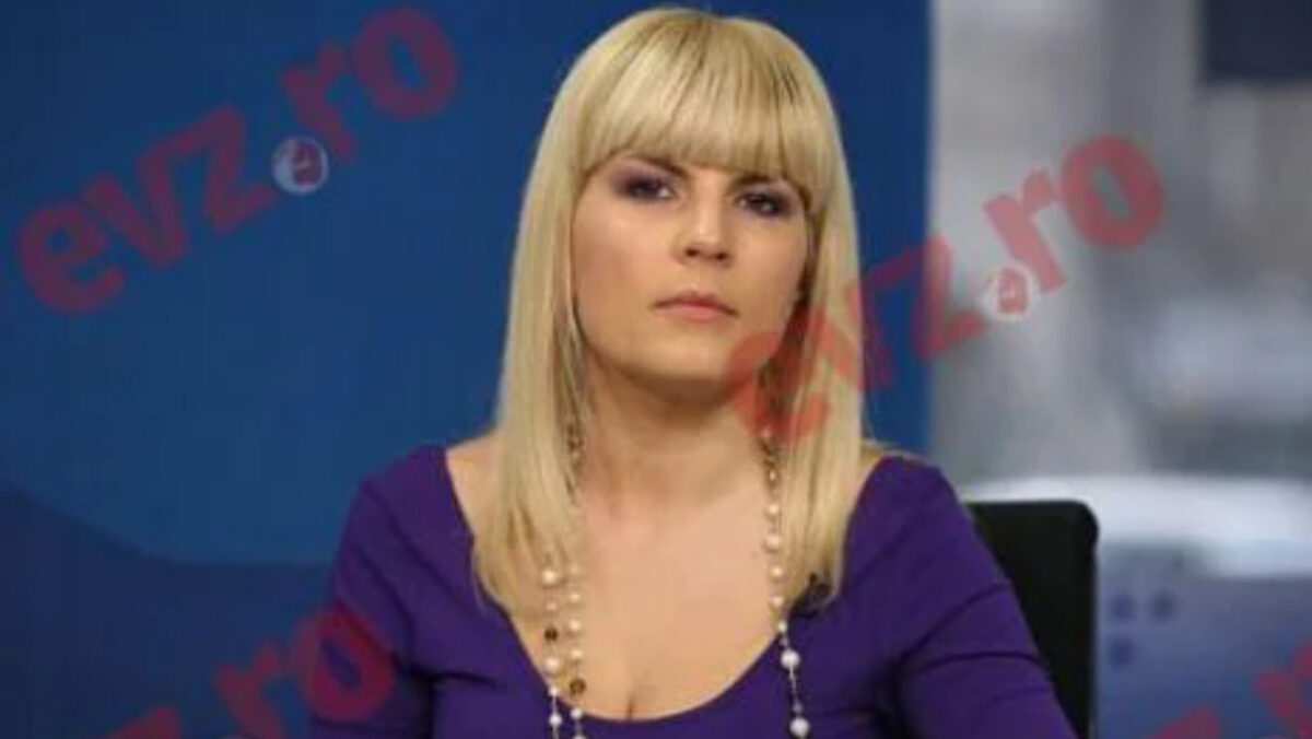 Elena Udrea e distrusă. Decizia luată de judecători