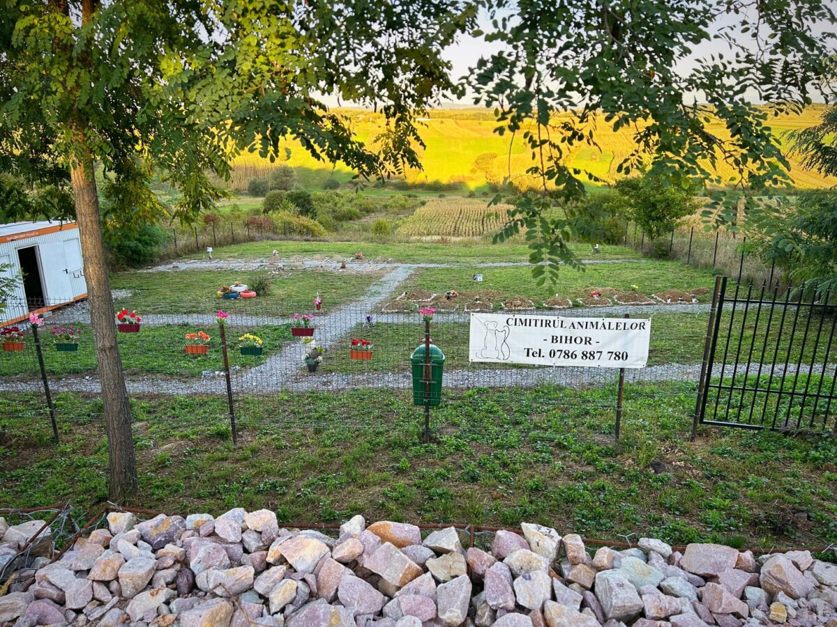 Cimitir animale, cimitir animal companie, cimitirul animalelor bihor