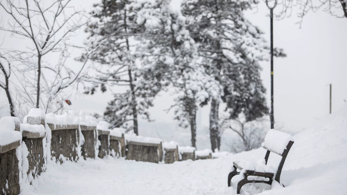 iarna zapada ninsori vremea meteo