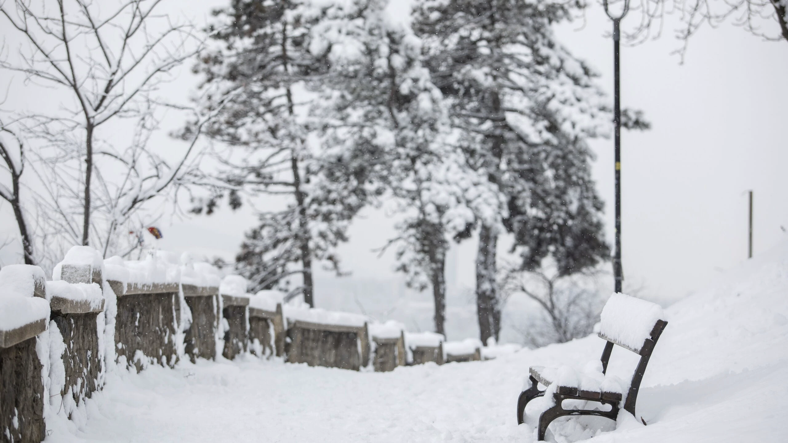 iarna zapada ninsori vremea meteo