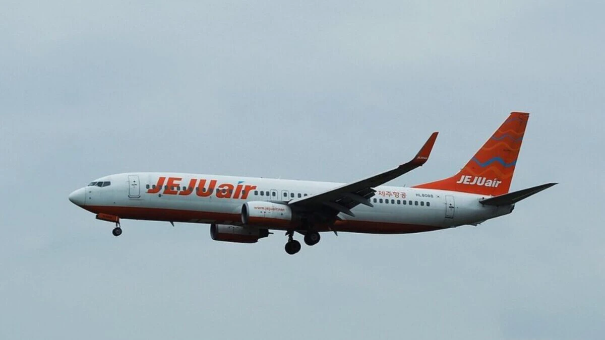 Modelul Boeing 737-800, unul dintre cele mai populare avioane din lume. Care au fost cauzele accidentului din Coreea de Sud