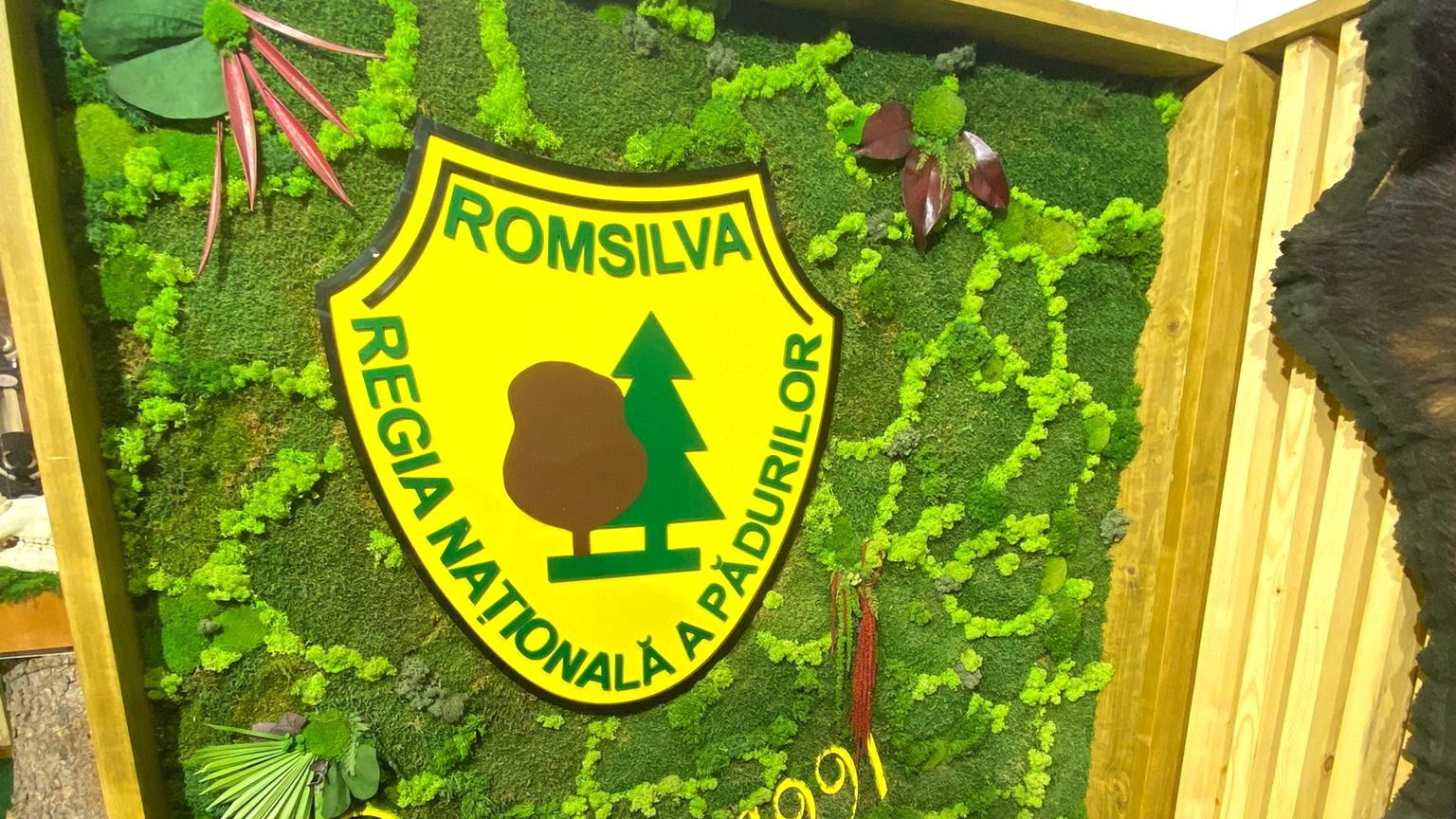 romsilva