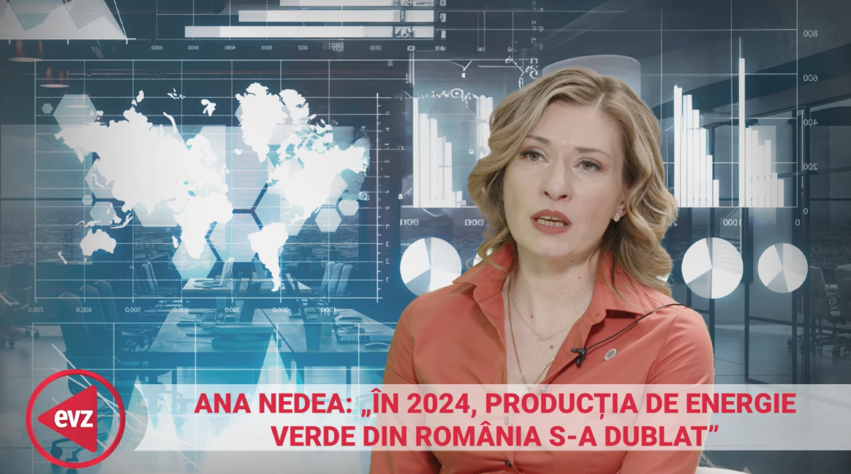 Semnal de alarmă în energie. Ana Nedea, Simtel Team: Sunt centrale fotovoltaice construite și care nu sunt racordate