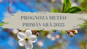 Prognoza meteo