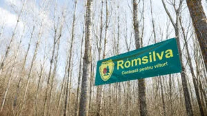 Romsilva