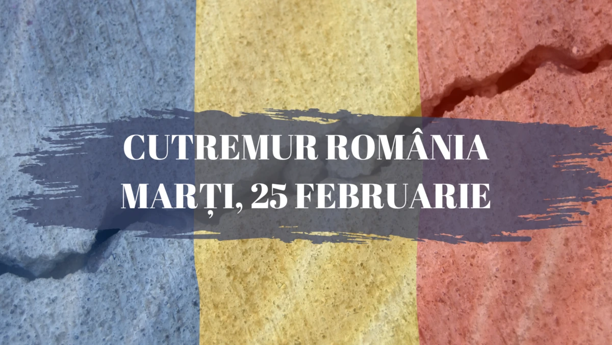 Trei cutremure au avut loc în România în această dimineață. Unde s-a zgâlțâit pământul