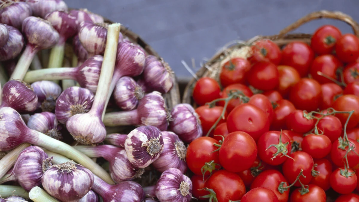 fermieri, usturoi, tomate