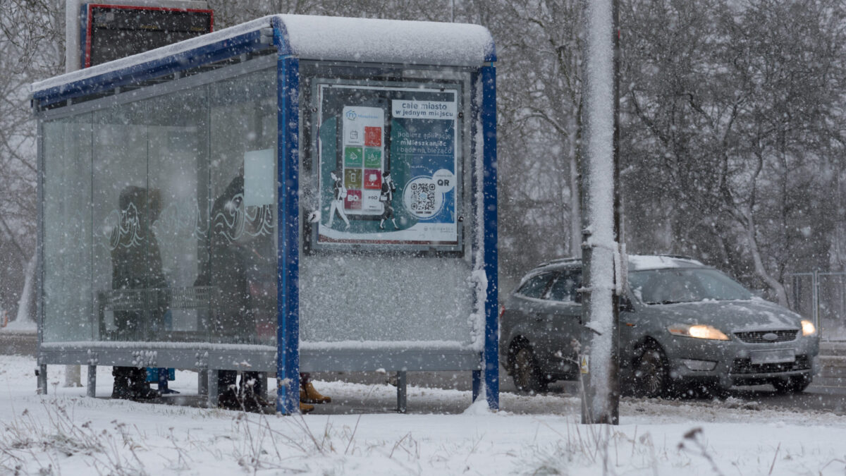 Prognoza meteo. Vine iarna pe bune în România! Ninsori viscolite, ger și polei până marți