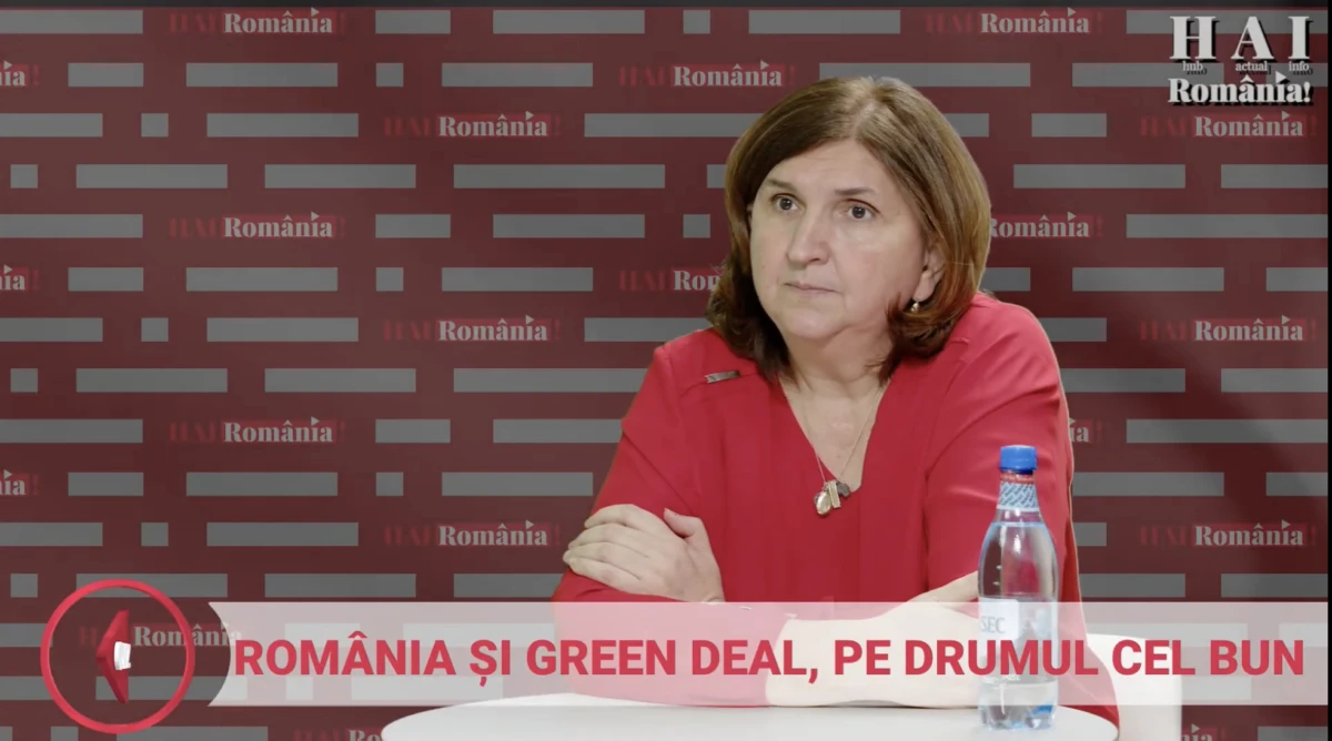 Dilema prosumatorilor din România. Corina Popescu, fost director Electrica: „E nevoie de investiții făcute cu cap”