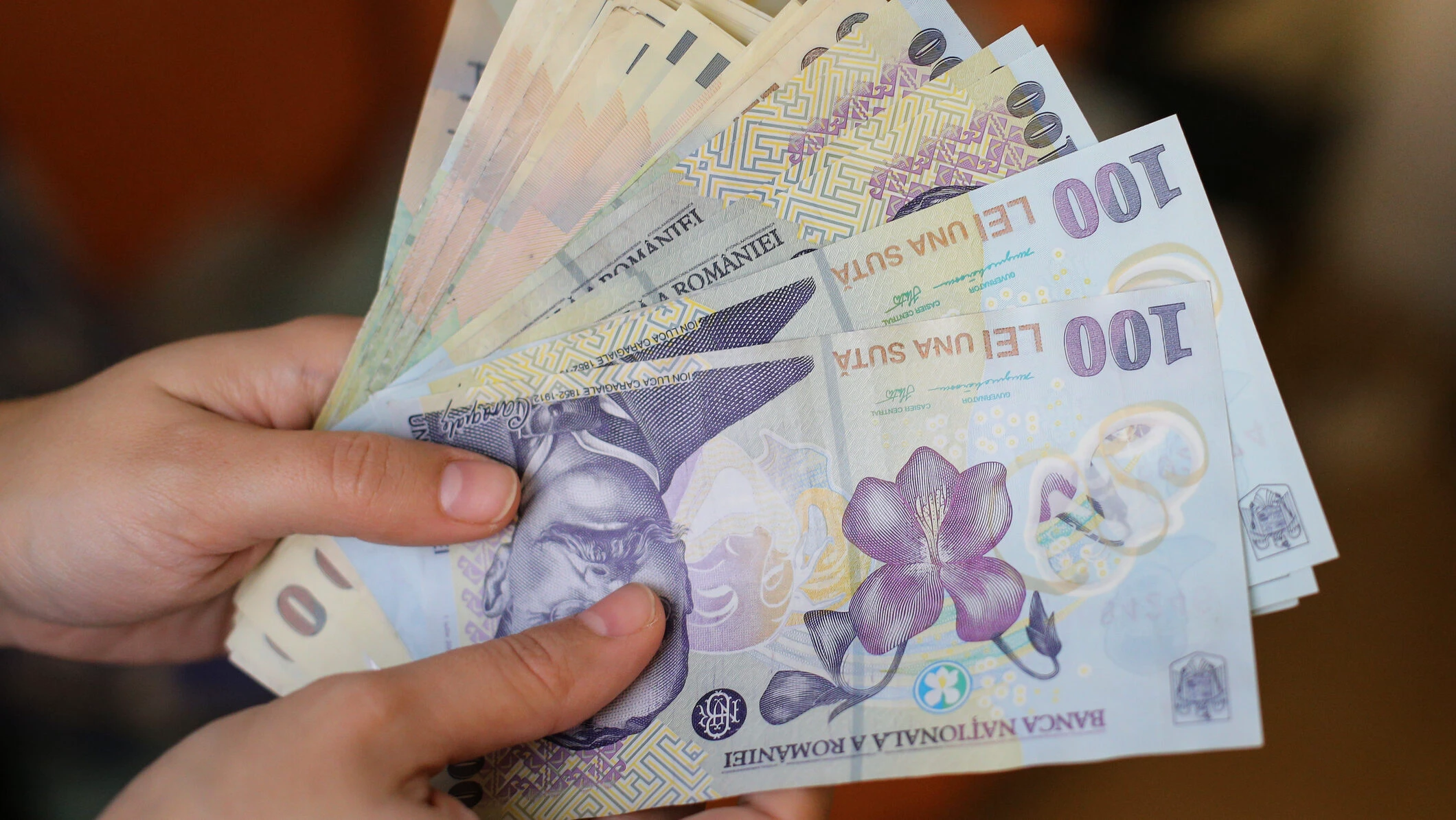 bani lei cash numerar