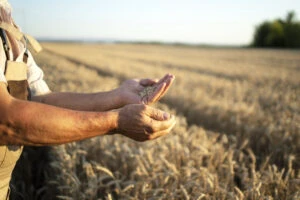 Agricultură