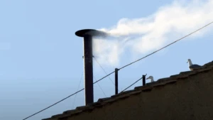 fum alb vatican
