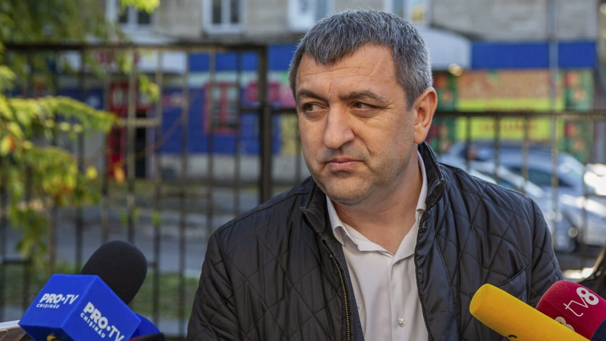 PAS a muncit în campanie pentru Crin Antonescu. Lilian Carp, replică pentru Rareș Bogdan: E puțin rușinos din partea lui să comenteze