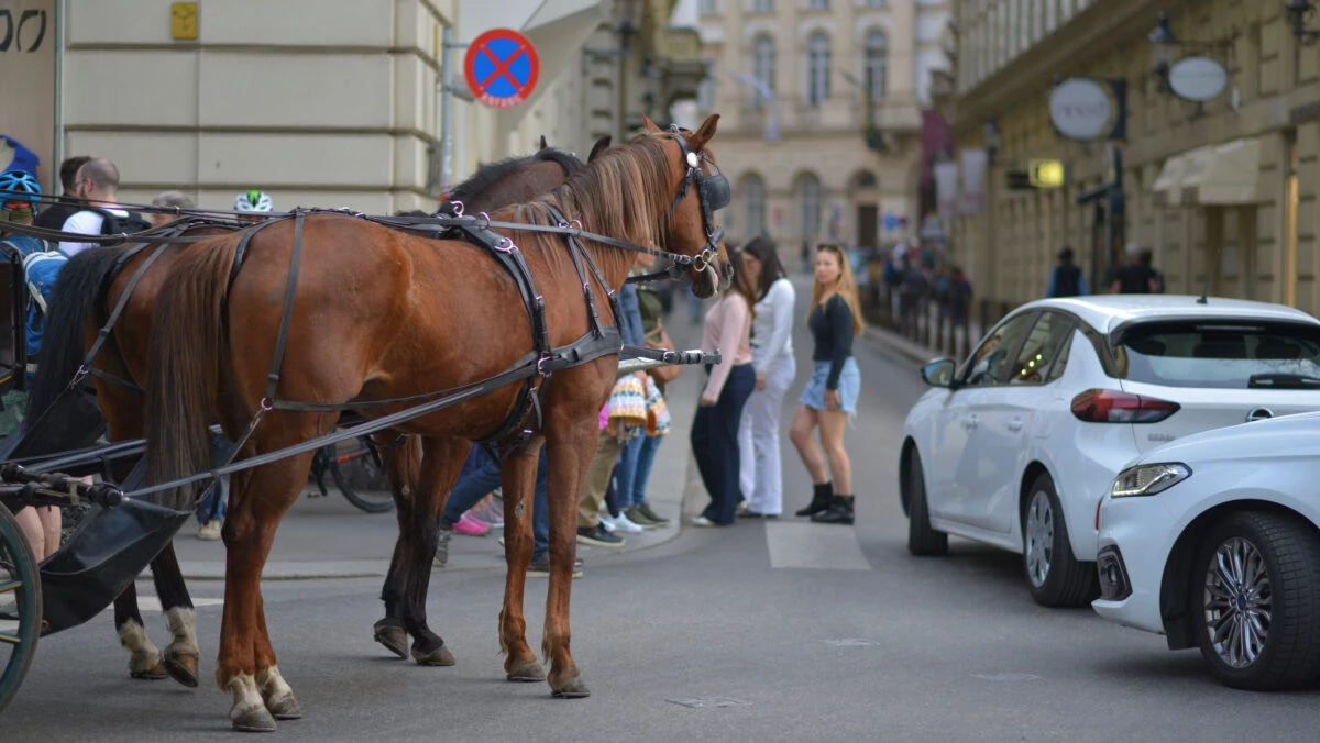 Vehiculele interzise în oraș! Amenda de aproape 2.000 de lei. NU au drept de circulație