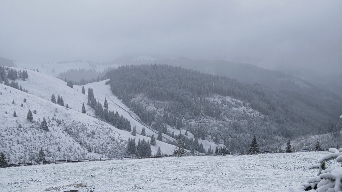 România, acaparată de ninsori. Un val de aer polar face ravagii în țară. ANM a emis Cod galben (FOTO)